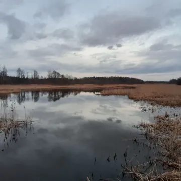 Koniec spacerów na Fryszerce