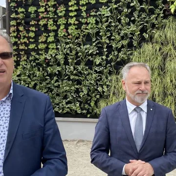 Ogrody wertykalne w Radomsku oficjalnie oddane do użytku