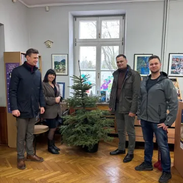 Drugie życie choinek