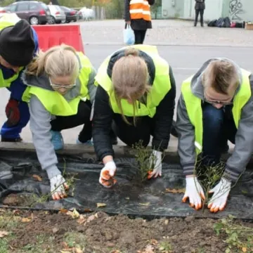 Róże na urodziny Radomska