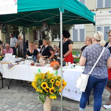 Wielkie Łowy Króla Kazimierza w Przedborzu