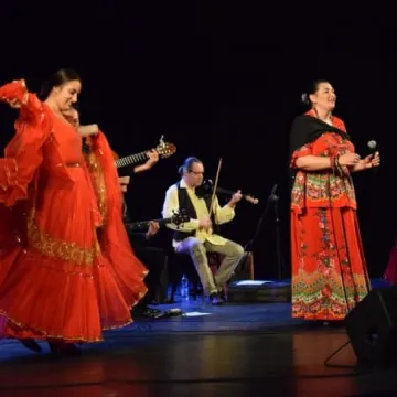 Kultura romska w MDK