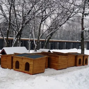 Schronisko ma nowe budy dla psów