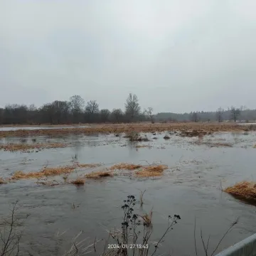 Poziom wody na Warcie opada!