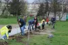 Samorządowcy z Platformy Dialogu sadzili drzewa