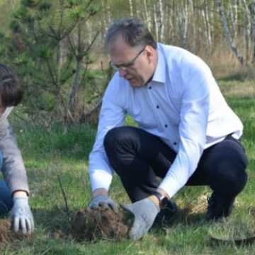 Na Wymysłówku sadzono drzewa