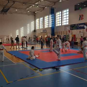 V  Turniej „Randori Cup” w Radomsku: Pasja, walka i emocje na tatami