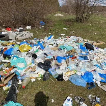 Gm. Gomunice: składowisko odpadów „wyrosło” nieopodal lasu