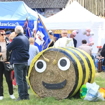Lokalne tradycje w centrum uwagi podczas święta ziemniaka w Dmeninie