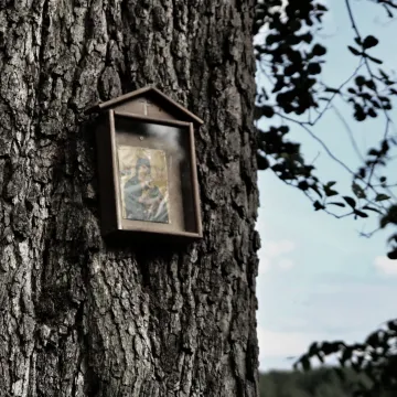 Zdobyli fotograficzne szlify