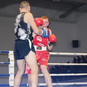 Boks królował w Radomsku