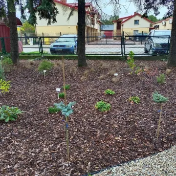 W PSP 8 w Radomsku utworzono „Leśne Obserwatorium”