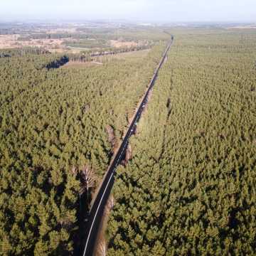 Nowa  droga poprowadzi od Przedborza do granic z województwem świętokrzyskim