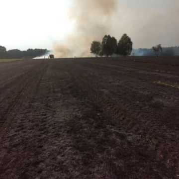 Spłonęło 5 hektarów ścierniska