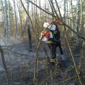 Bogusławów - pożar lasu i traw