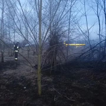 Bezdomny spowodował pożar?