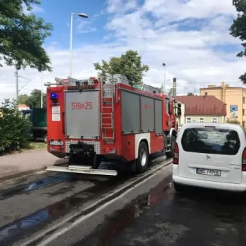 Powalone drzewo na torach