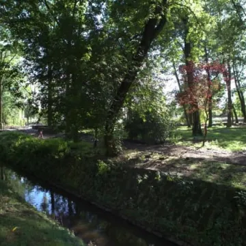 Trwają prace rewitalizacyjne w parku Świętojańskim