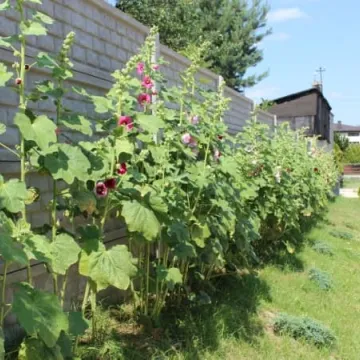 Sprawdzili jak wyglądają place zabaw w Radomsku