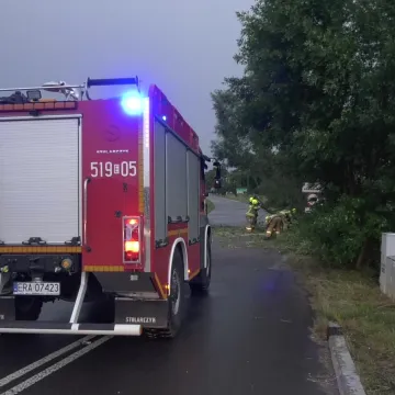 Najnowszy bilans skutków burzy w powiecie radomszczańskim