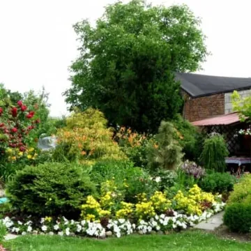 Radomsko w kwiatach i zieleni 