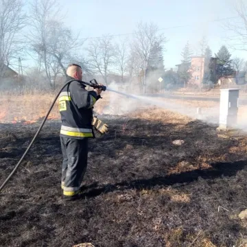 Trzy wyjazdy jednego dnia strażaków z Wielgomłyn do pożarów suchych traw