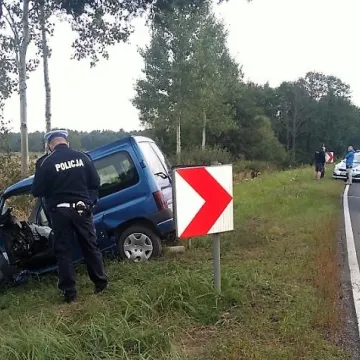 Topisz: samochód wypadł z drogi. Kierowca nie żyje