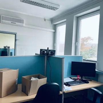 Odgrzybianie a estetyka: jak walka z pleśnią może odmienić wygląd twojego wnętrza?