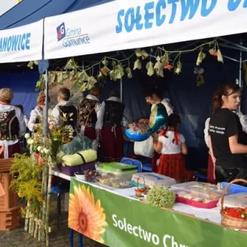 Miód w roli głównej w Gomunicach 