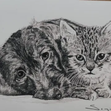 To jest rok Moniuszki