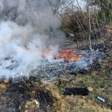 Strażacy gasili pożar w gminie Dobryszyce