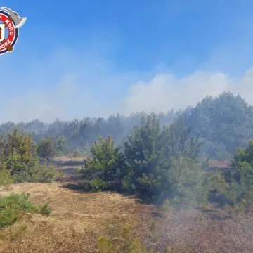 51 strażaków gasiło pożar lasu w miejscowości Borowa