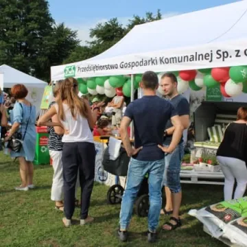 Piknik Ekologiczny w Parku Solidarności w Radomsku