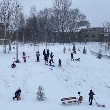 [WIDEO] 12 stycznia. Zimowe uroki Radomska