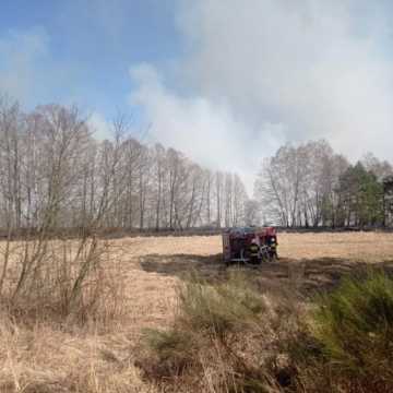 Bobry: Spłonęło 40 hektarów nieużytków. 13 zastępów straży walczyło z pożarem. Zagrożone były budynki