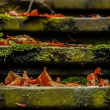 Plener fundacji FotoPozytyw