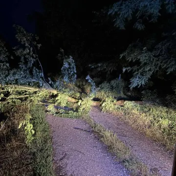 Nawałnica przeszła przez region. Powalone drzewa, uszkodzone dachy