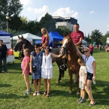 Dzień Organizacji Pozarządowych w Radomsku