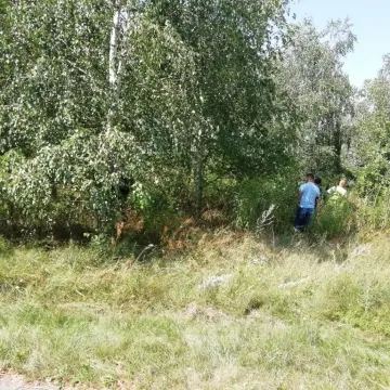 Szczęśliwy finał poszukiwań 77-letniej kobiety