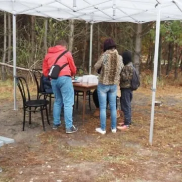  Czipowanie psów i kotów