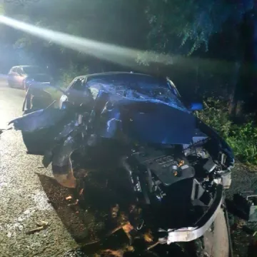 Czołówka audi z drzewem