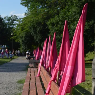 II Radomszczański Różowy Piknik