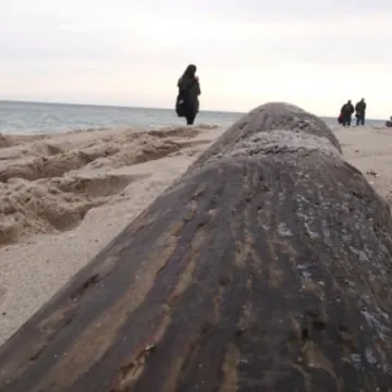 Foto Pozytyw nad morzem