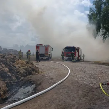 Słoma w ogniu w Napoleonowie
