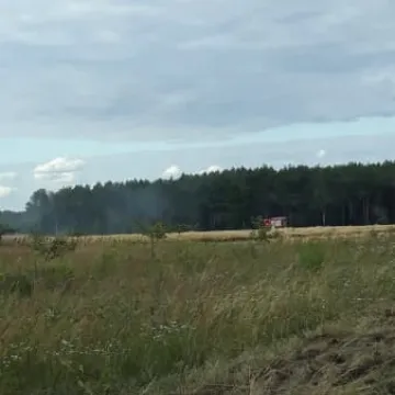 Pożar zboża między Przerębem a Bartodziejami