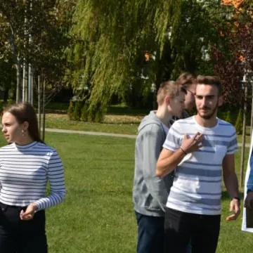 Krokusy zakwitną na „Wielorybku”