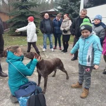 Terapia w lesie daje świetne efekty
