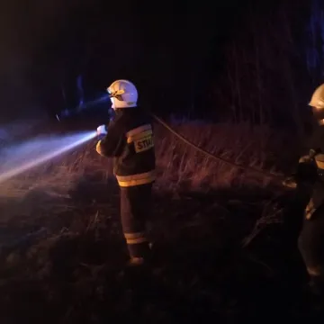 Pożar suchych traw na pograniczu dwóch województw