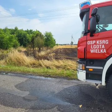 Pożar ścierniska w Woli Blakowej