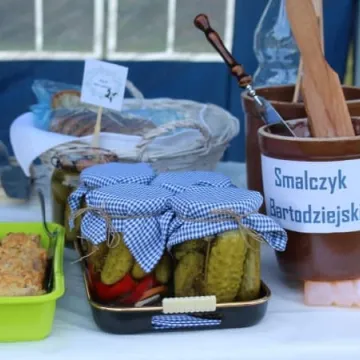 Piknik Ekologiczny w Parku Solidarności w Radomsku